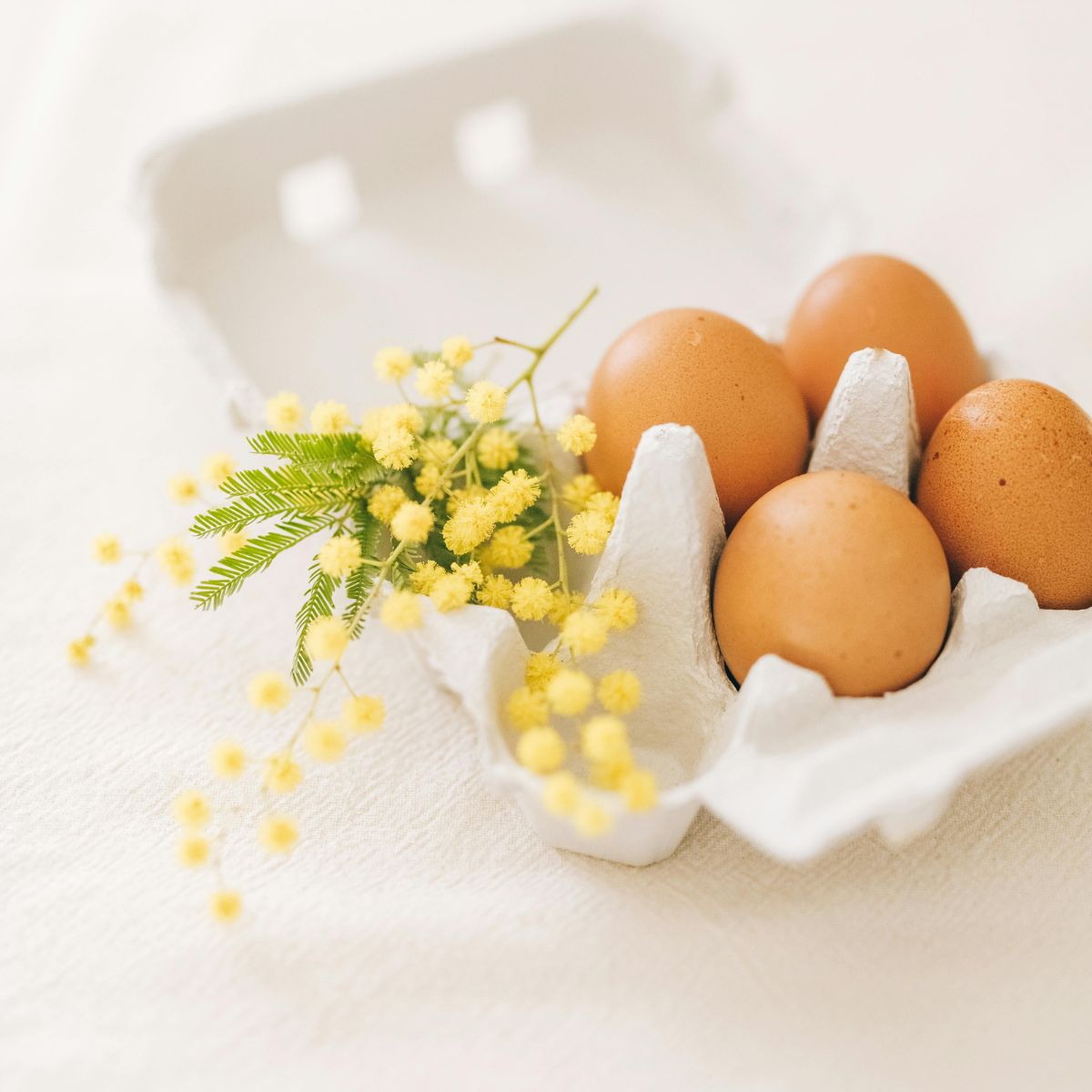 What is AMH? And Can You Improve It Through Diet & Supplementation?