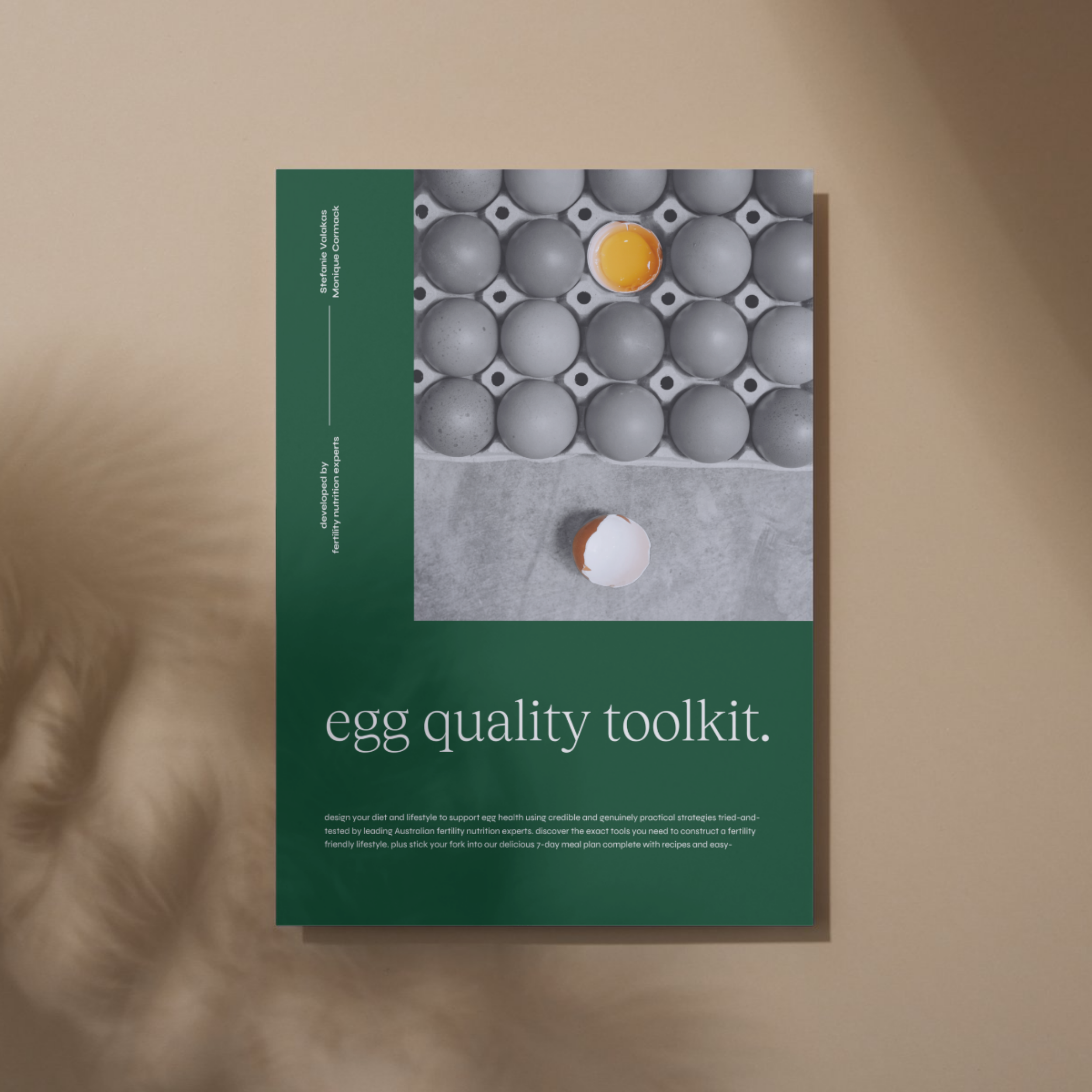 Egg Quality Toolkit - Downloadable PDF
