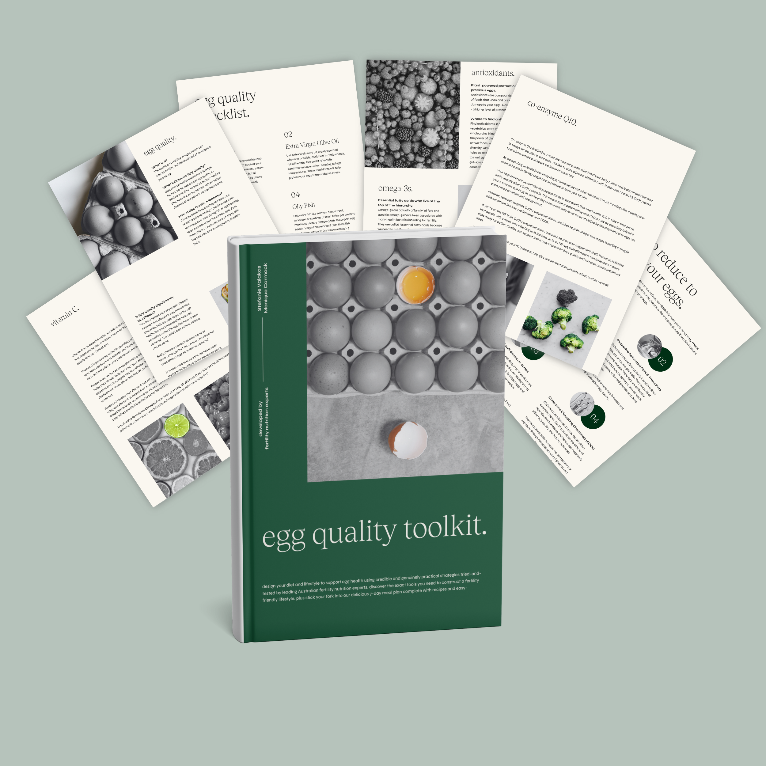 Egg Quality Toolkit - Downloadable PDF