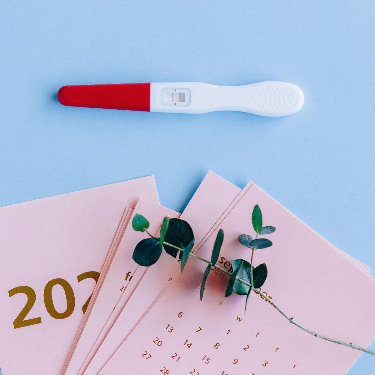 What Does Preconception Really Mean? A Guide if You're Trying to Conceive