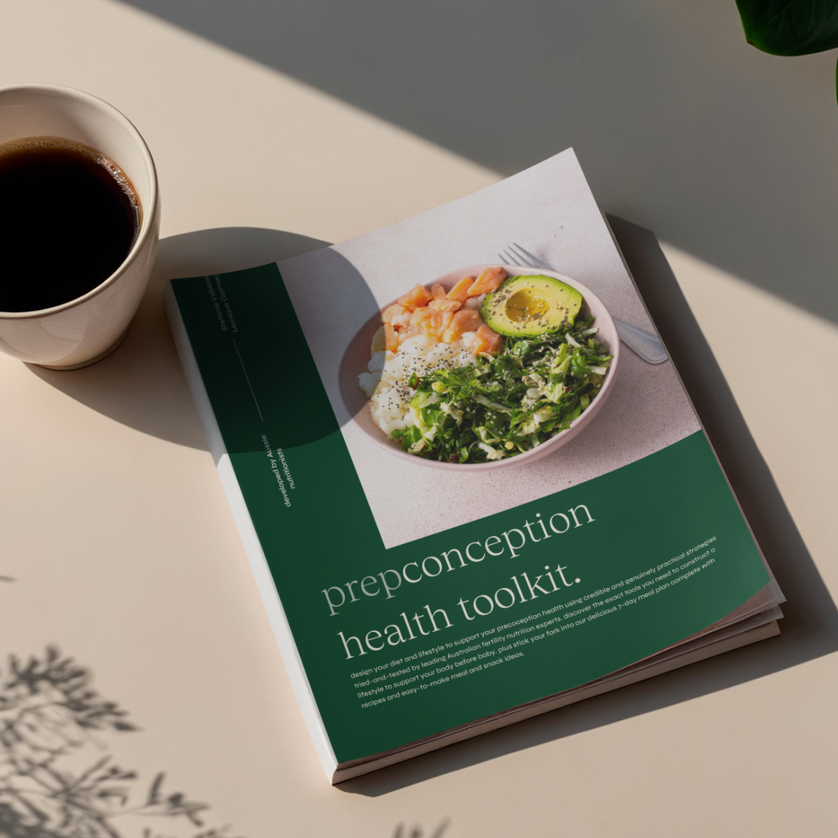 Preconception Health Toolkit - Downloadable PDF
